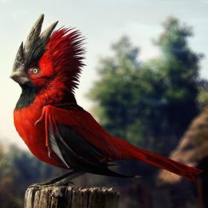 Cardinal