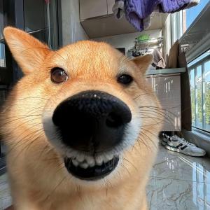 ДЕТОКС