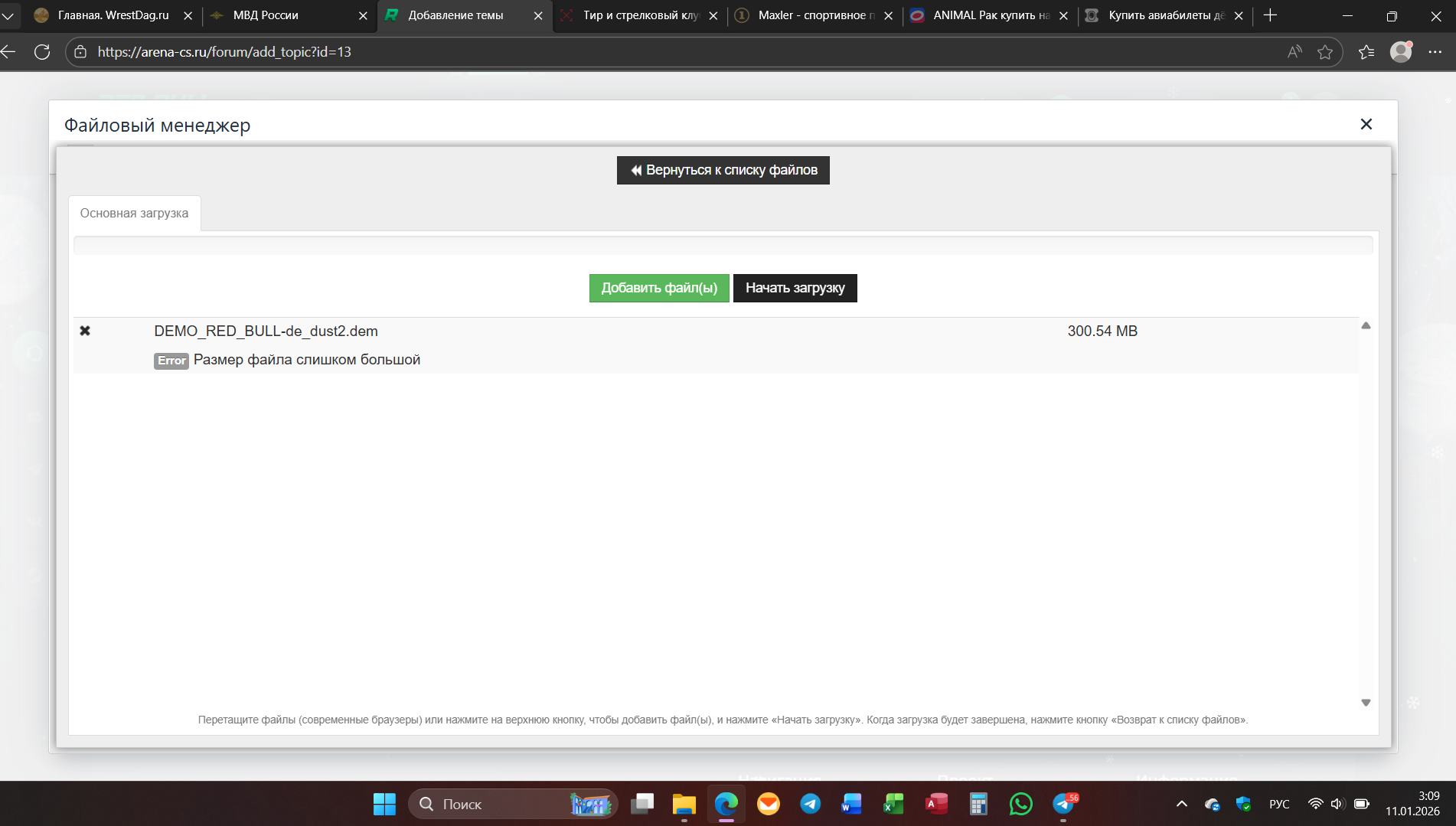 image_2026-01-11_03-10-11