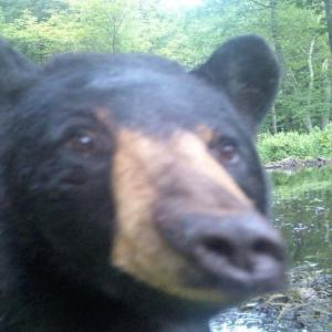 Азмат Ренатов